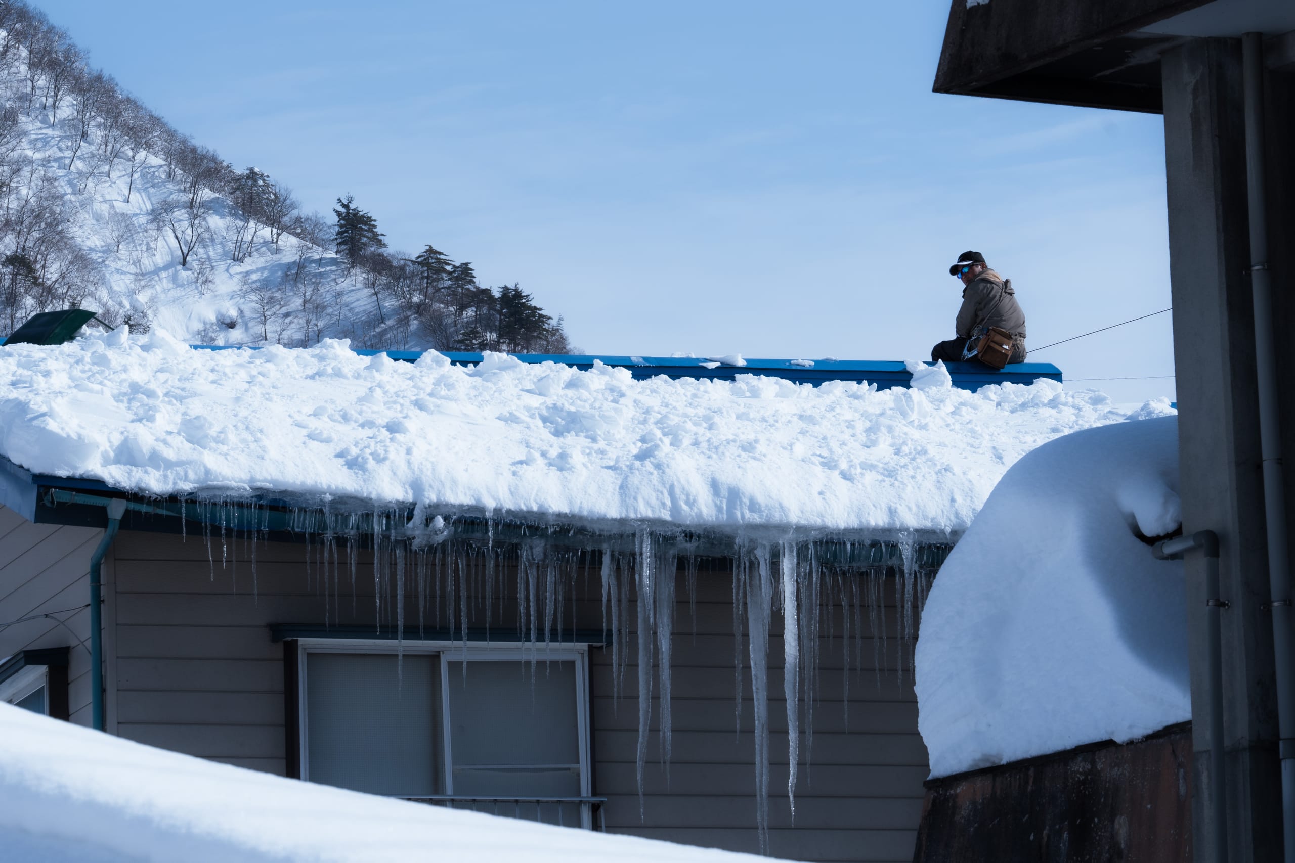 一只鸟停在积雪屋顶上，屋檐垂下密集冰柱。