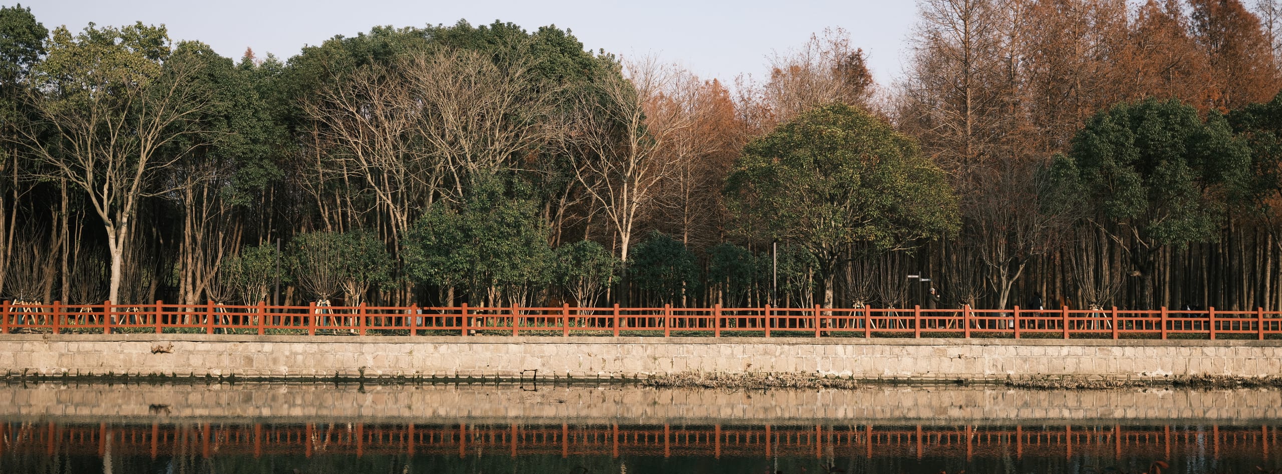 水岸长栏前排列着深浅不同的树林，倒影横贯水面。
