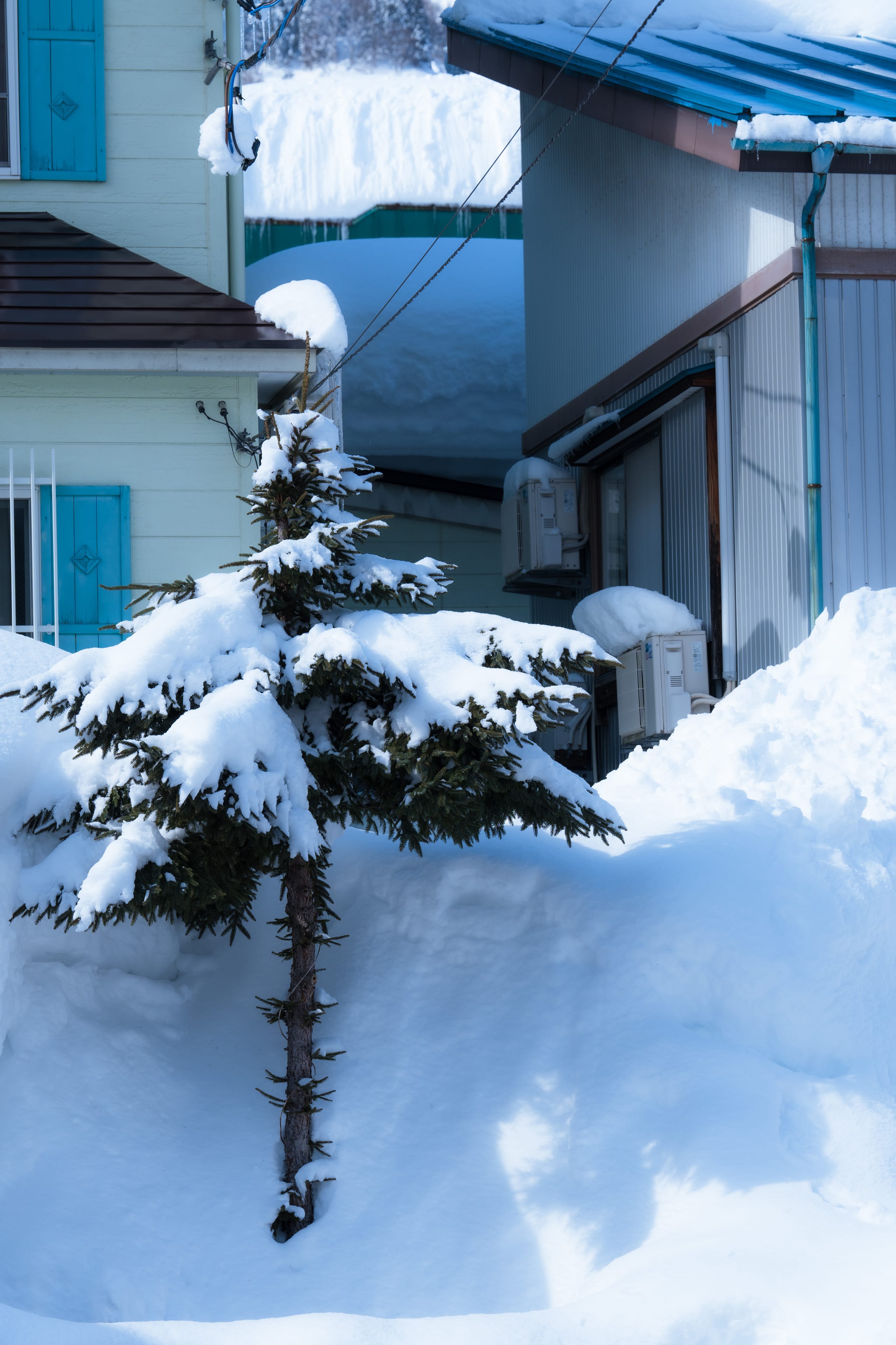 住宅与庭院树木被厚雪覆盖，长冰柱垂在枝下。