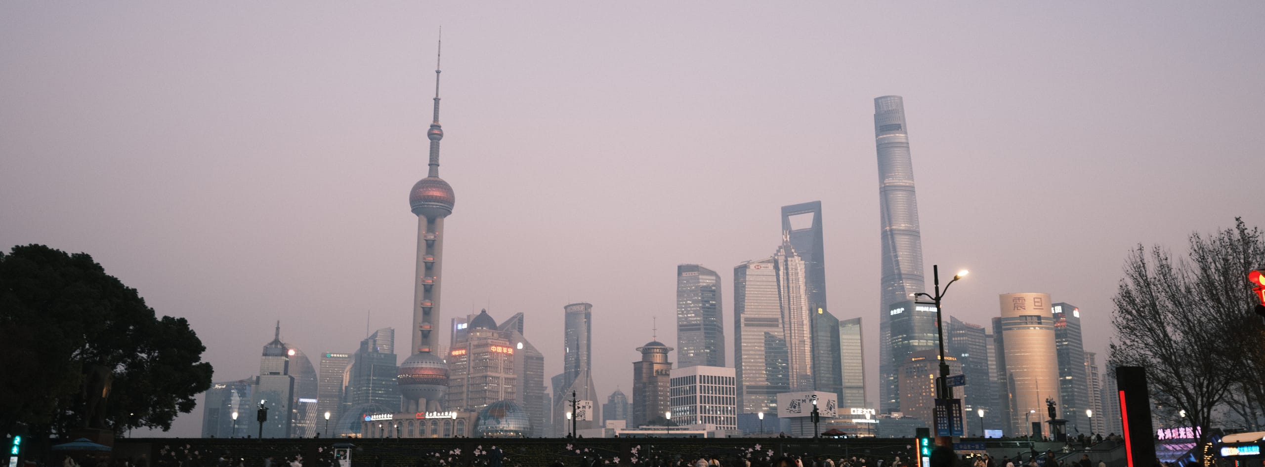 暮色薄雾中的城市天际线，前景有树影和道路。