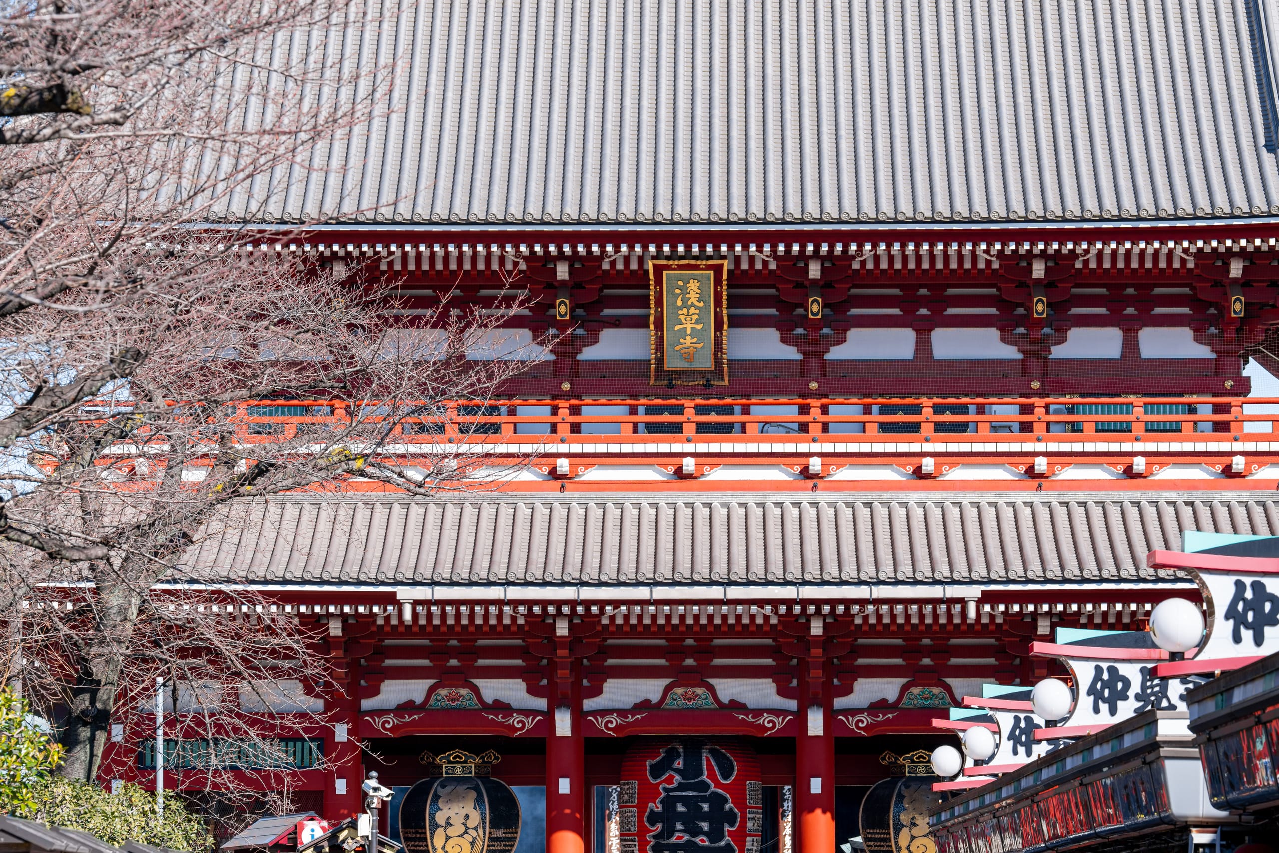 红色寺院大门横贯画面，浅色花枝从两侧探入。