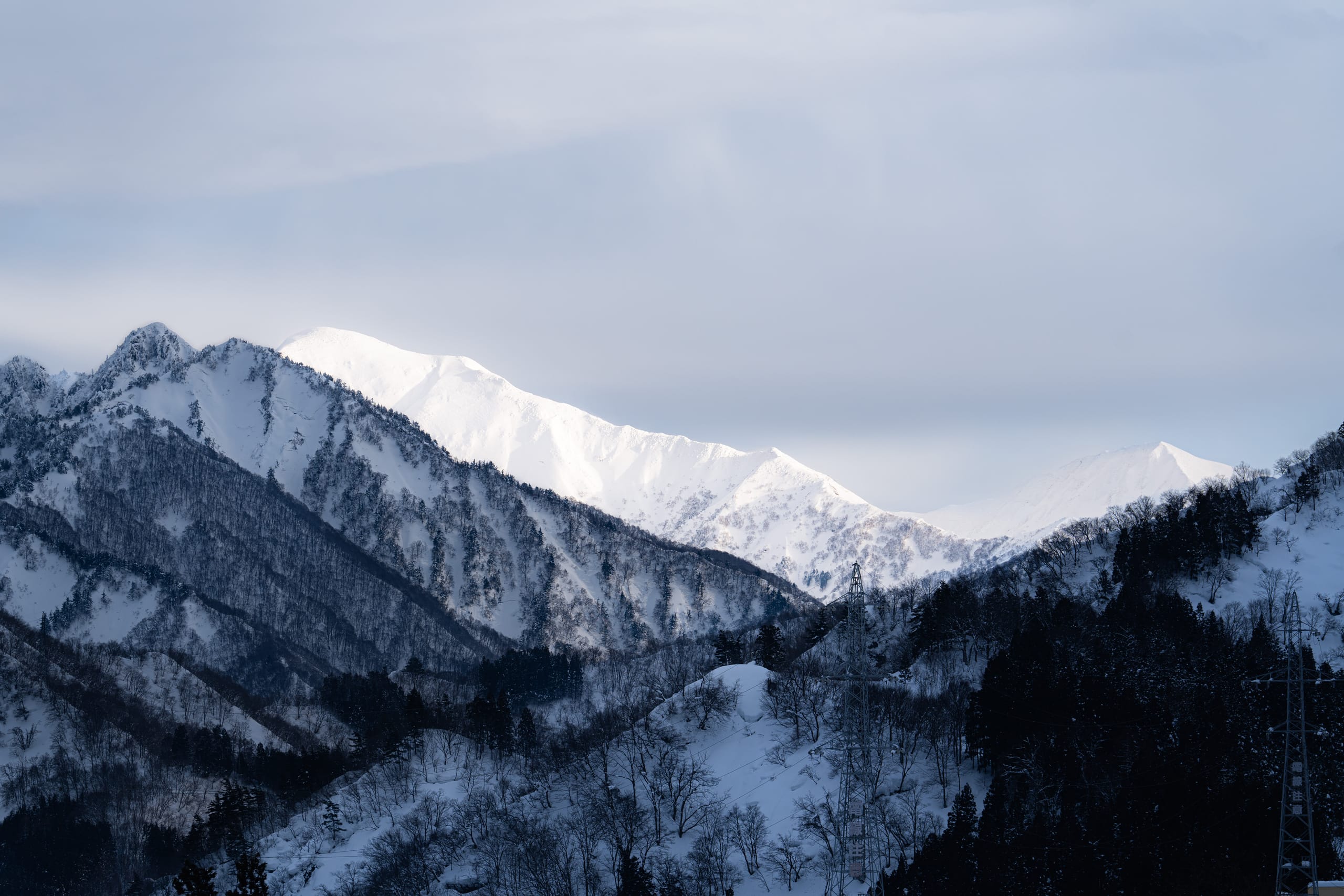阳光照亮远方雪山山脊，前景树林处于阴影中。