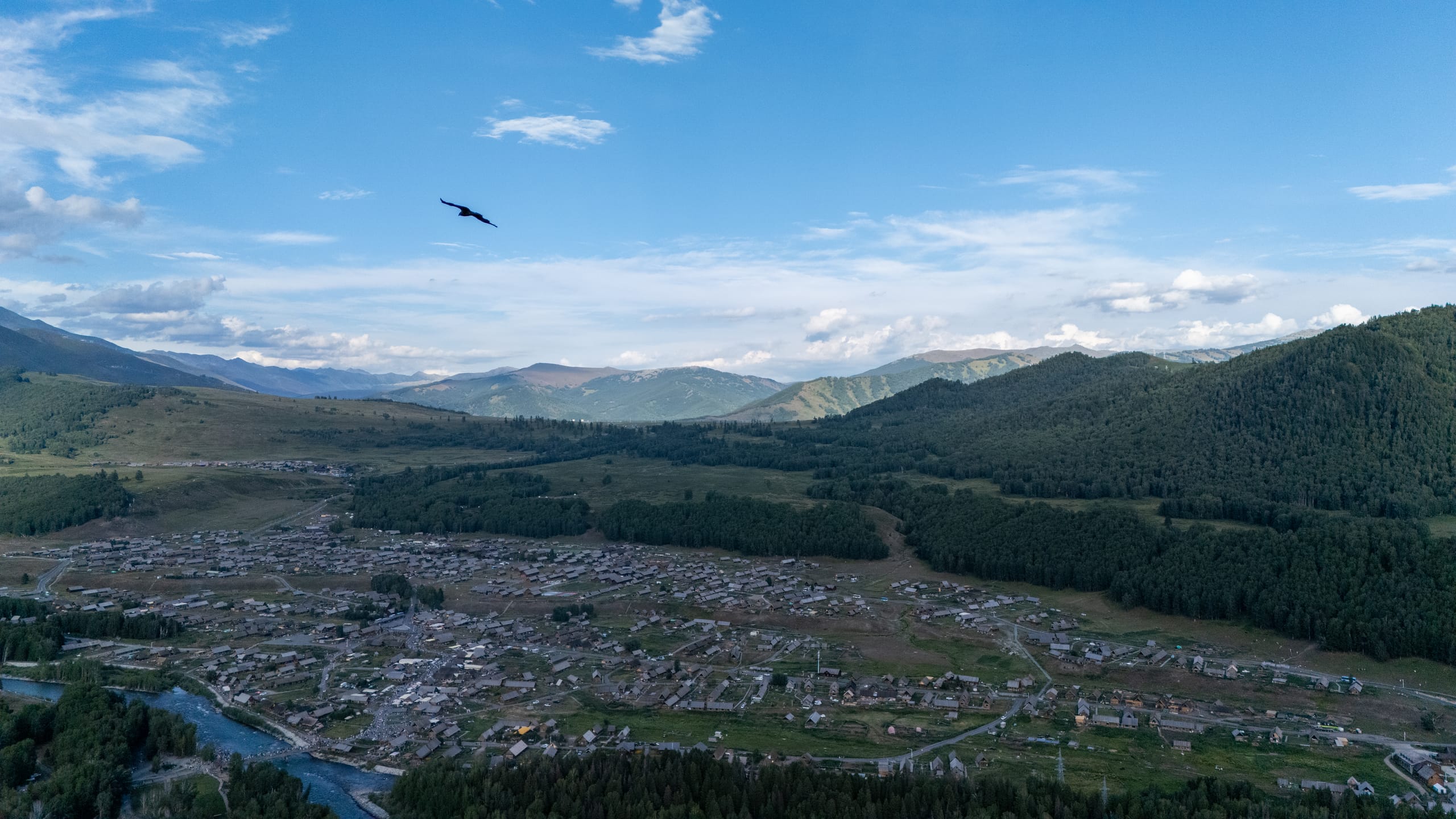 航拍禾木村与周围山林，一只大鸟从画面上方飞过。
