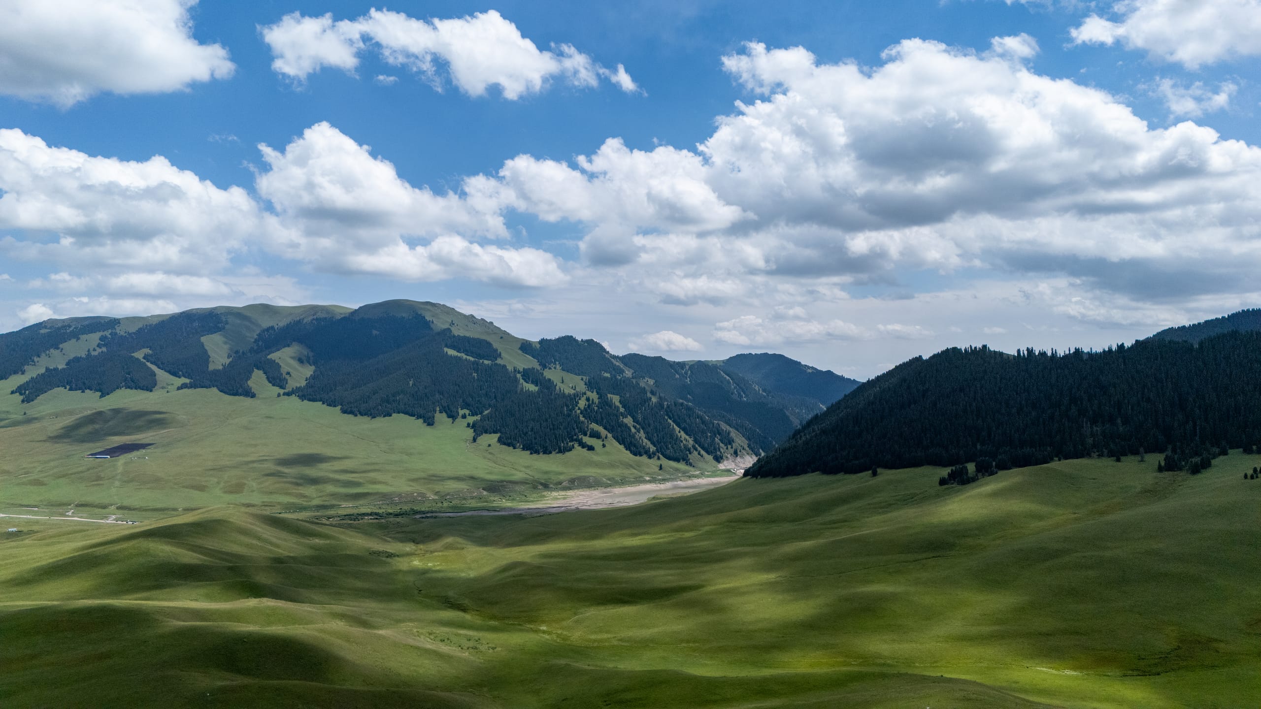 伊昭公路沿线的高山草原起伏开阔，绿色山坡与深色森林相间。