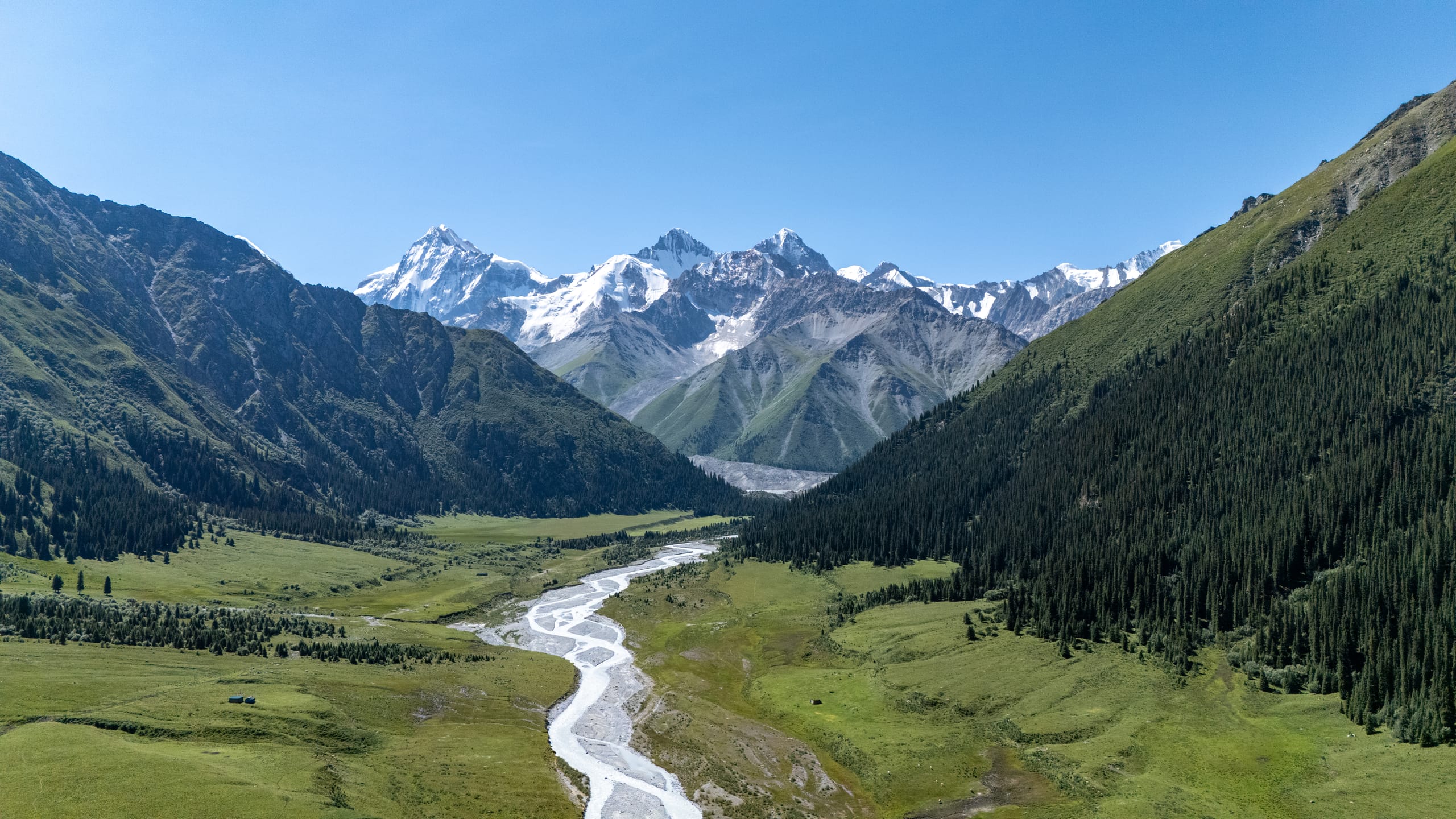 航拍夏塔峡谷深处，银白河流穿过绿色草地与针叶林，通向远处雪山。
