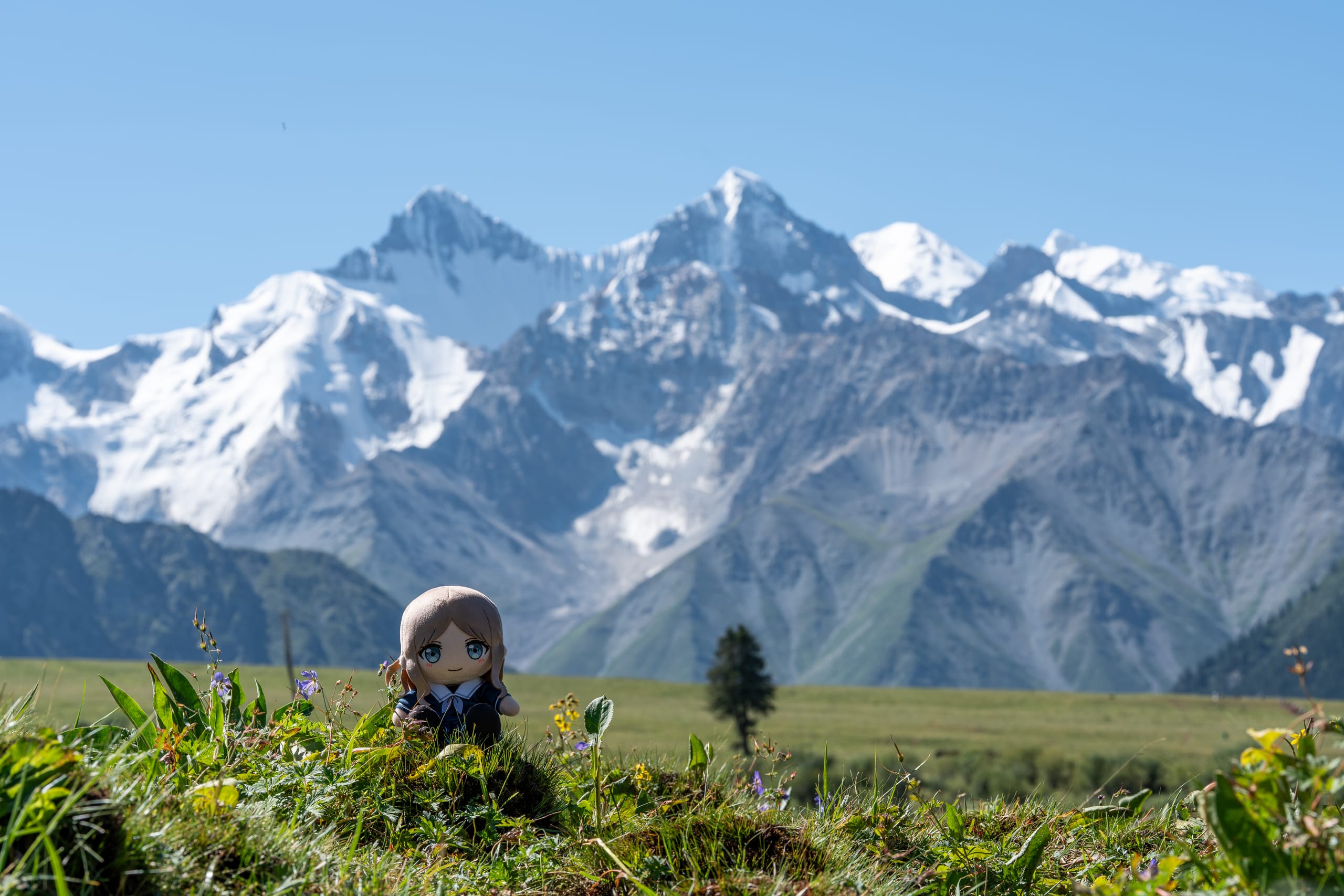 soyorin玩偶坐在夏塔草地的野花间，背后是高耸雪山。