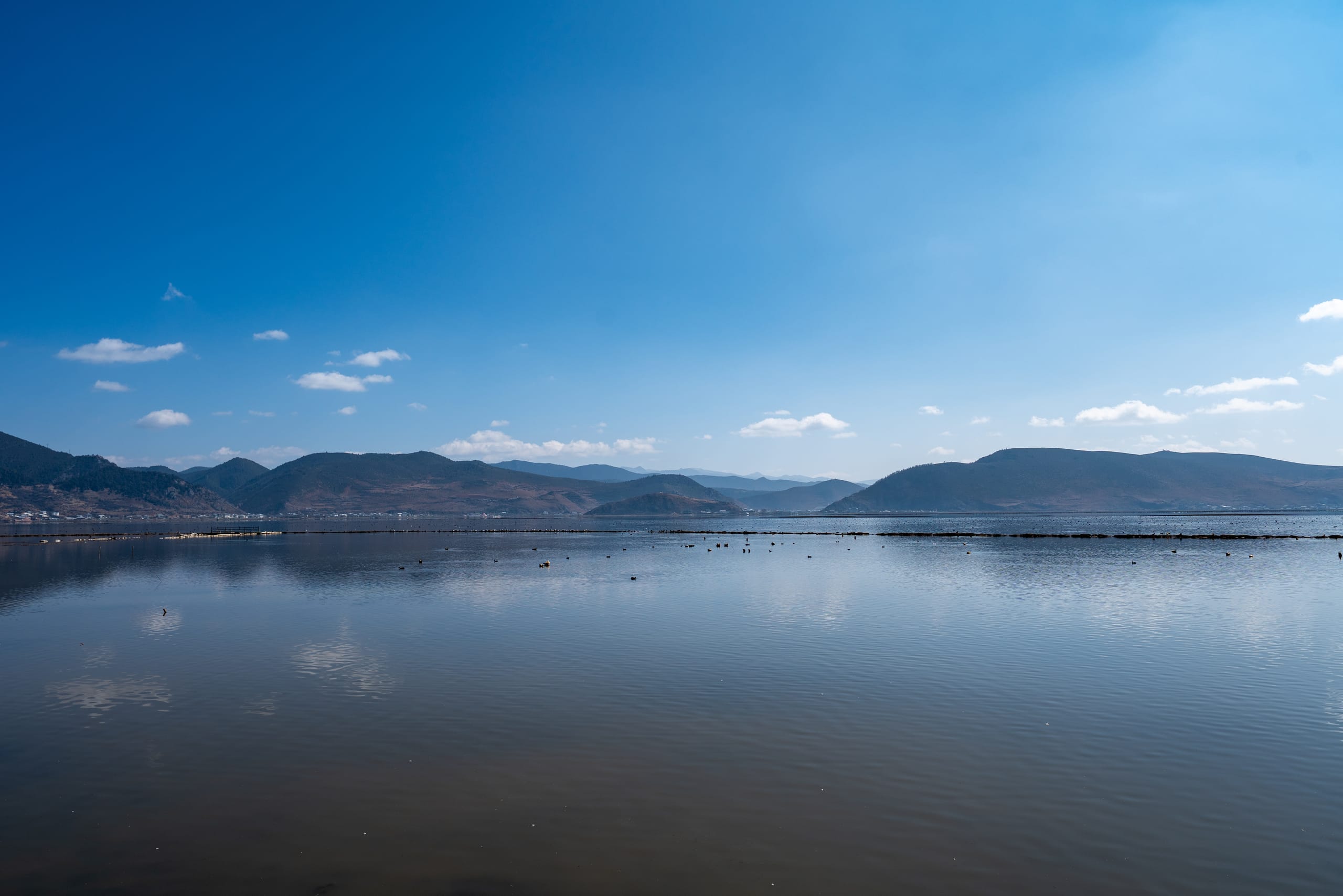 纳帕海宽阔水面倒映云层，远处浅水中分布着成群水鸟。