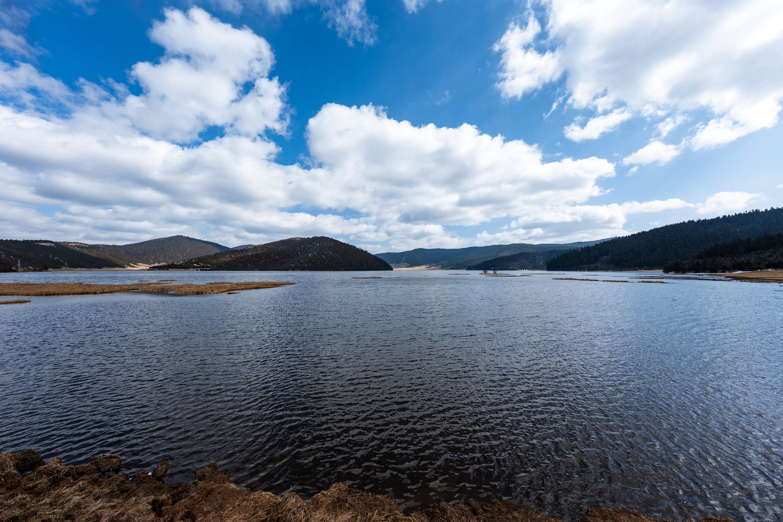 属都湖宽阔水面泛起细密波纹，对岸草地与森林环抱湖湾。