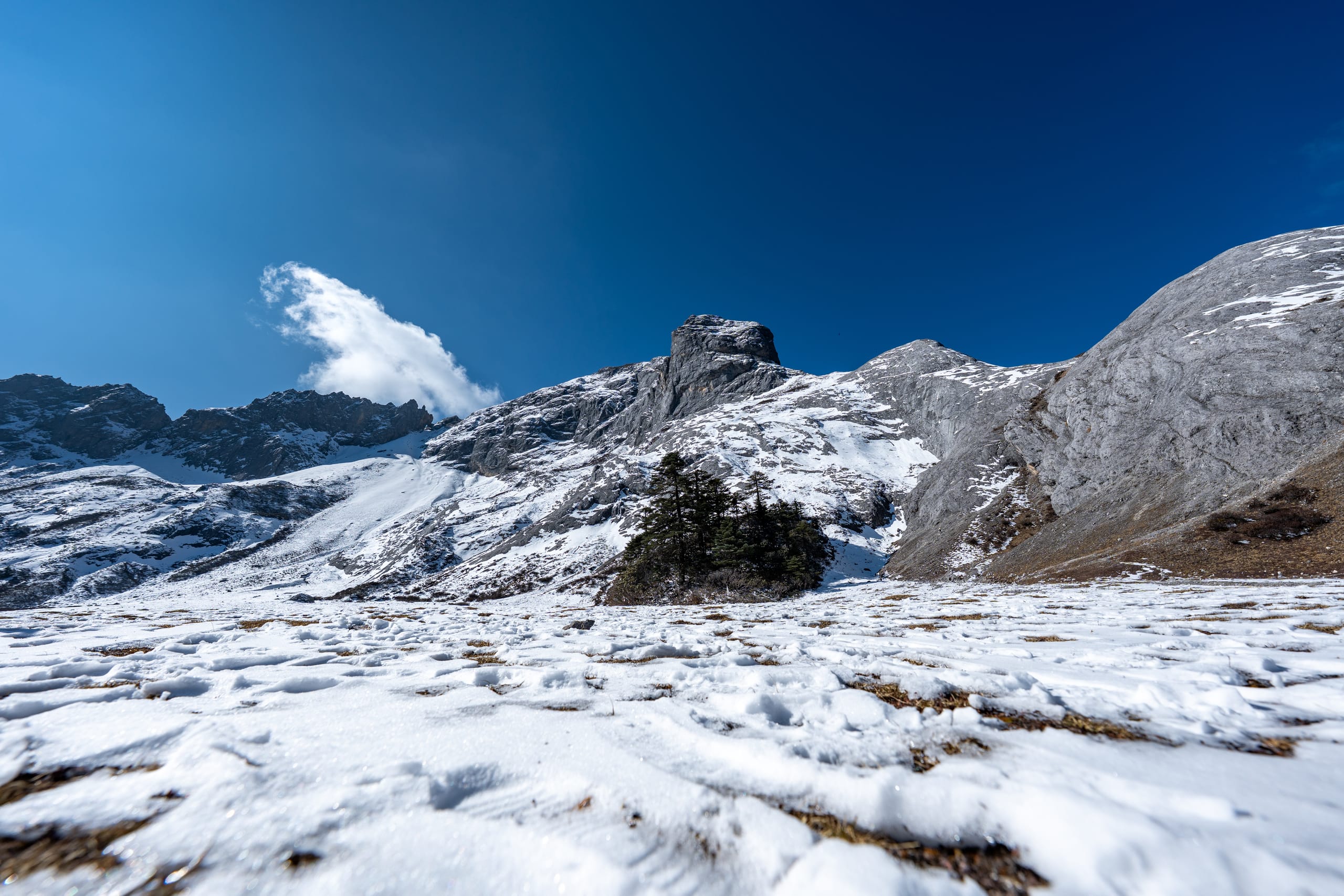 香巴拉佛塔前的雪坡延伸向嶙峋山峰，一株小树独立在坡面中央。