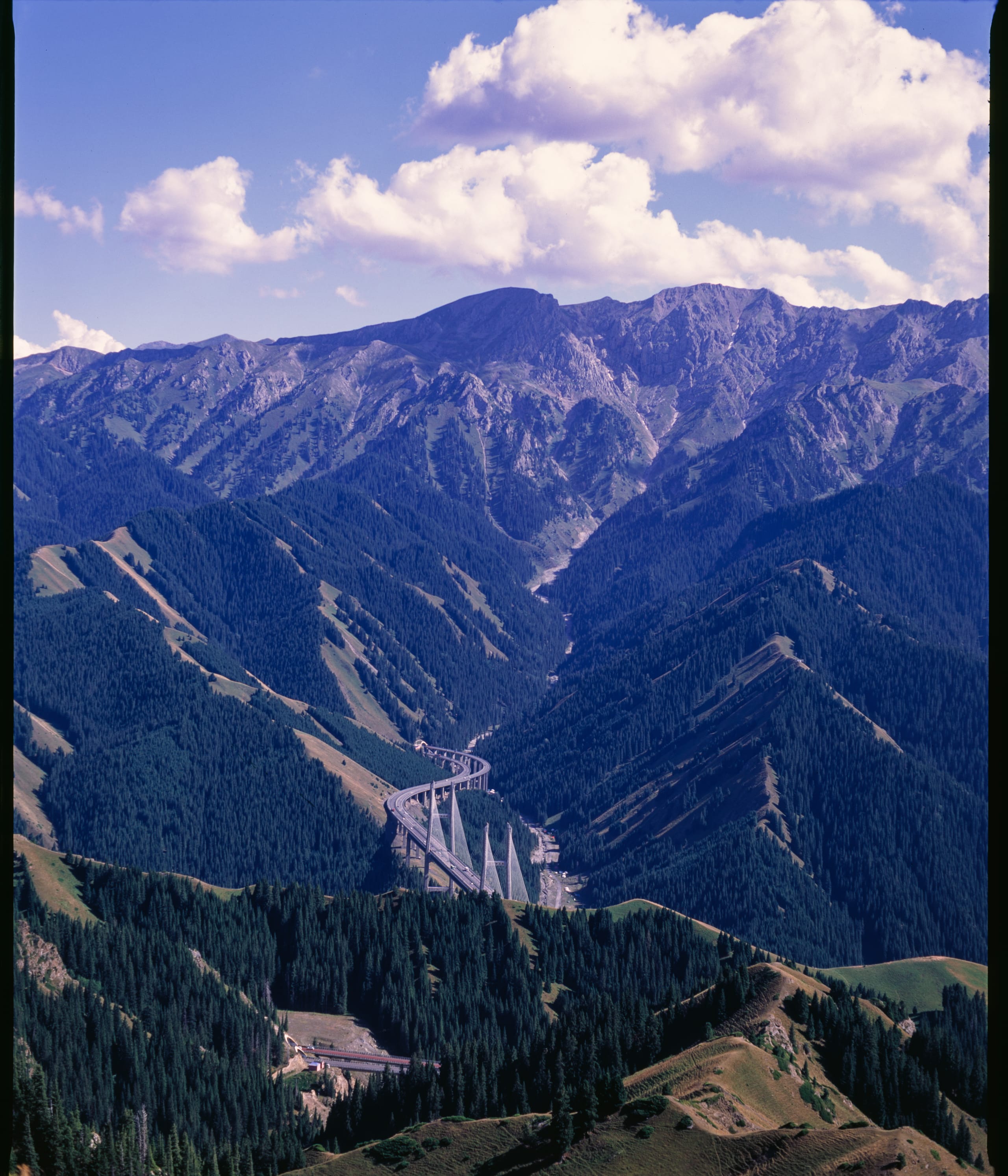 盘山公路和高架桥穿过针叶林覆盖的山谷，背后是陡峭山峰