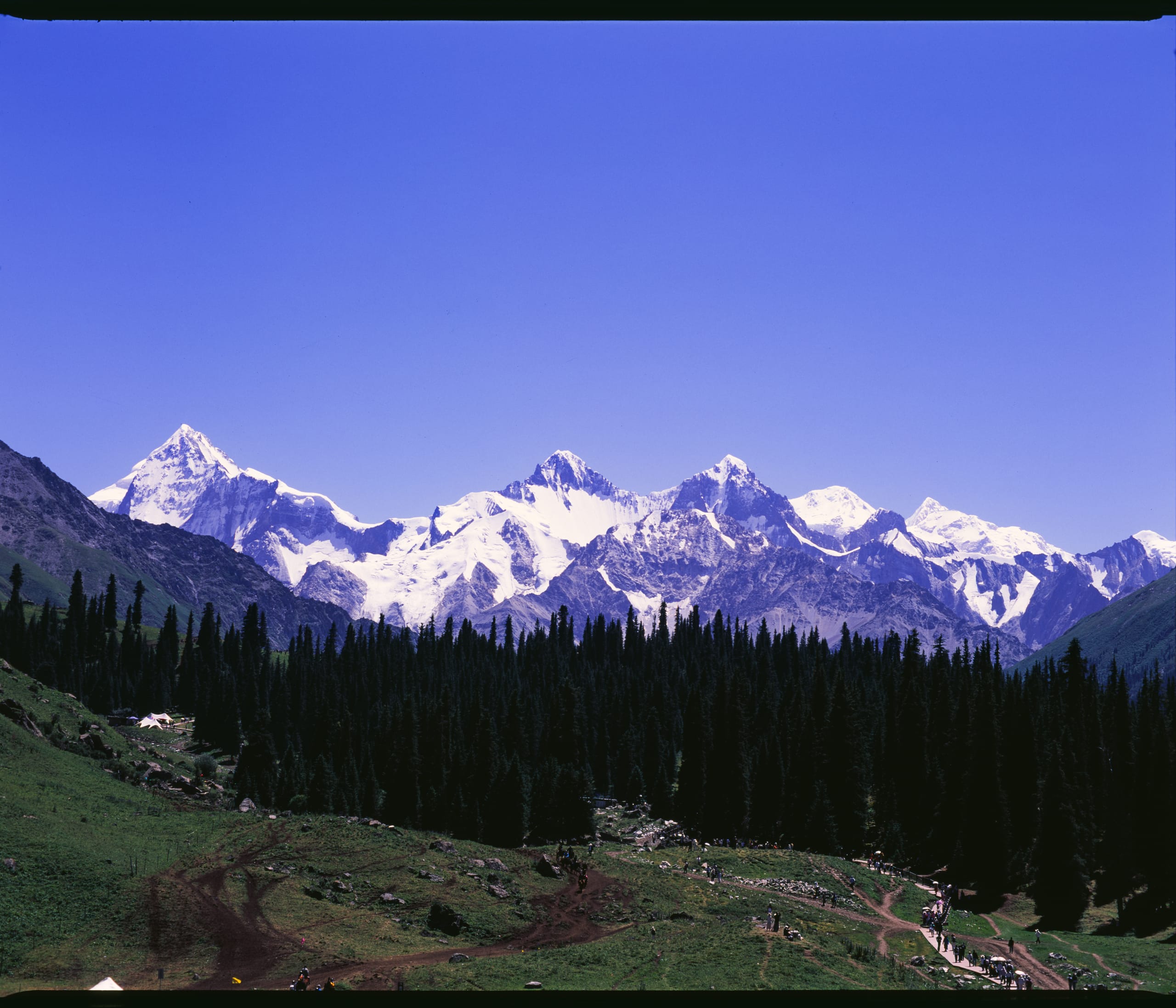 雪峰与深色针叶林横贯山谷，草坡上的游人沿小路前行